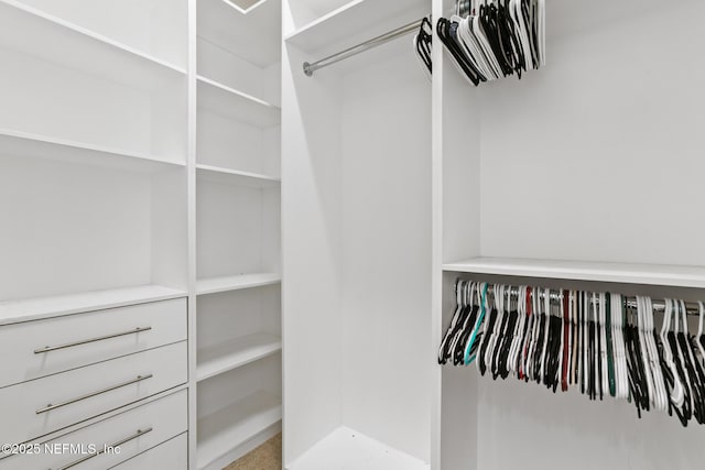 view of spacious closet