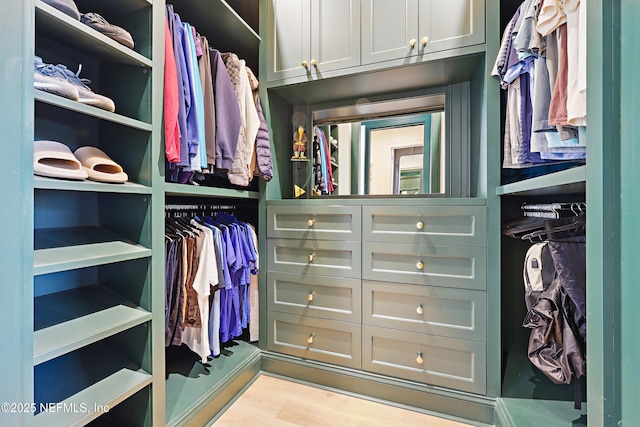 spacious closet featuring light wood finished floors