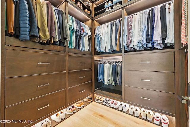 spacious closet featuring wood finished floors