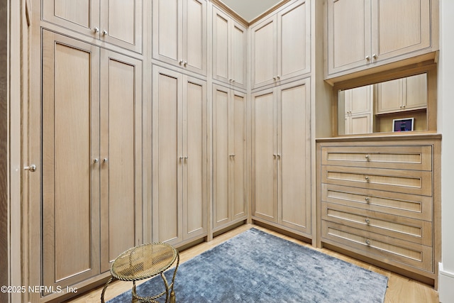 walk in closet featuring light wood finished floors