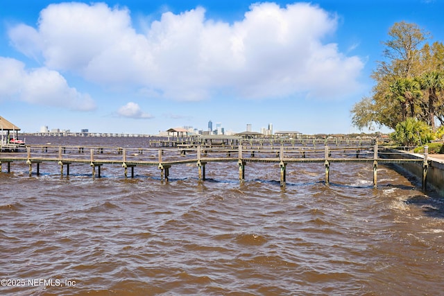 dock area featuring a water view