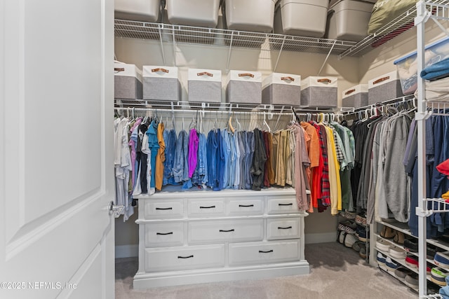 view of walk in closet