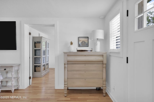 interior space featuring baseboards and light wood-style floors