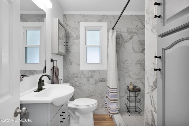 bathroom featuring vanity, curtained shower, and toilet