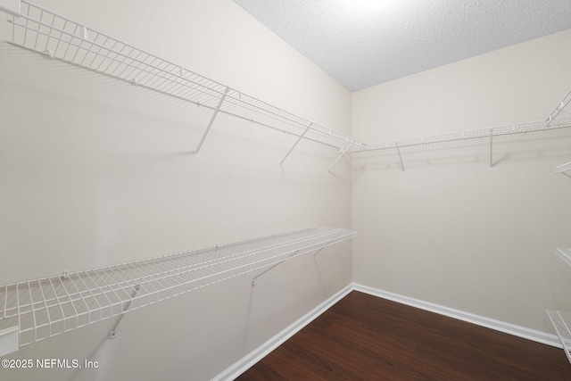 walk in closet with dark wood-style flooring