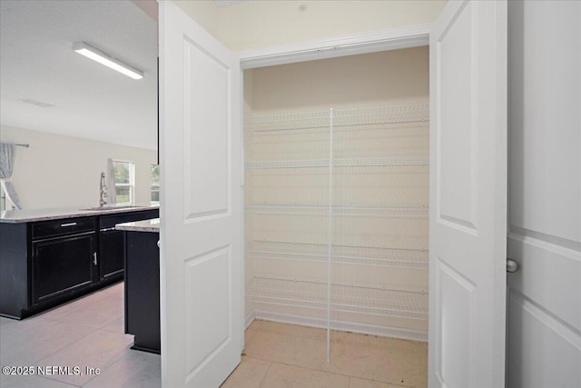 pantry with a sink