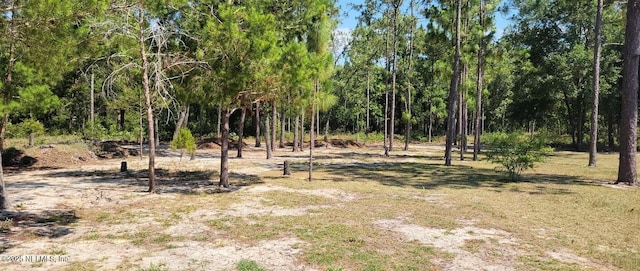 6361 Antioch Ave, Keystone Heights FL, 32656 land for sale