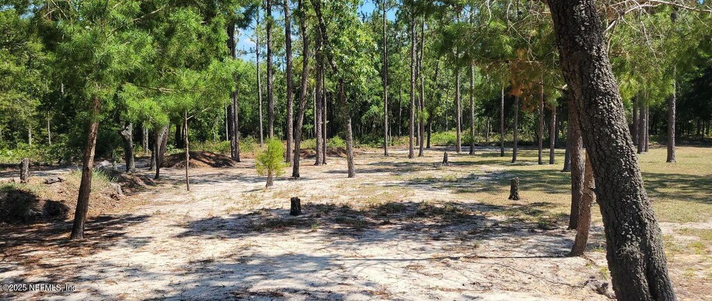 6361 Antioch Ave, Keystone Heights, FL 32656 - photo 2