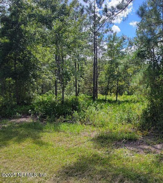 4329 Bondarenko Rd, Keystone Heights FL, 32656 land for sale