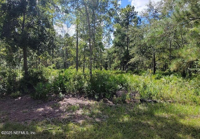 Listing photo 3 for 4329 Bondarenko Rd, Keystone Heights FL 32656