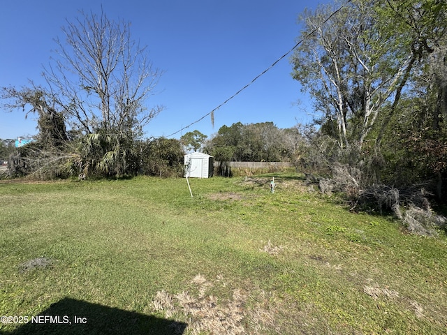 view of yard with a storage shed and an outdoor structure