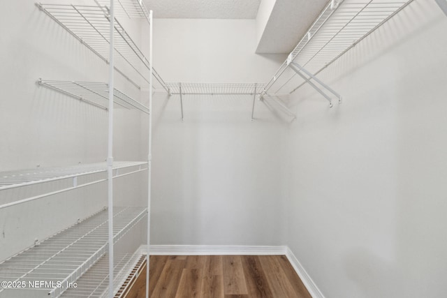 walk in closet with wood finished floors