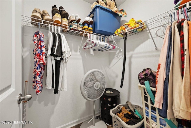 view of spacious closet