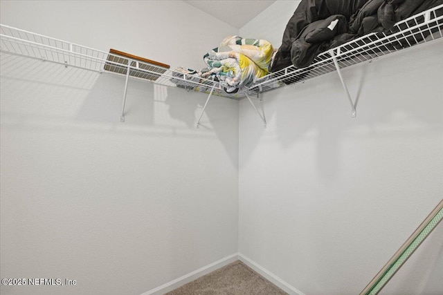 spacious closet with carpet floors