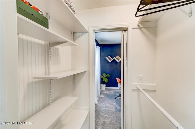 walk in closet featuring carpet flooring