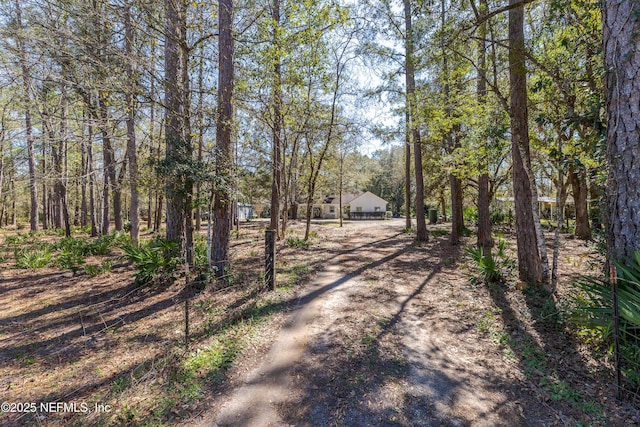 view of road featuring dirt driveway