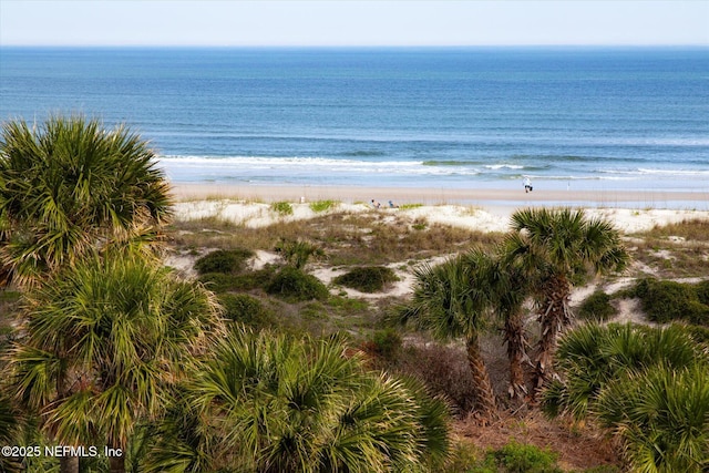 property view of water featuring a view of the beach