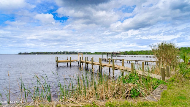 dock area with a water view