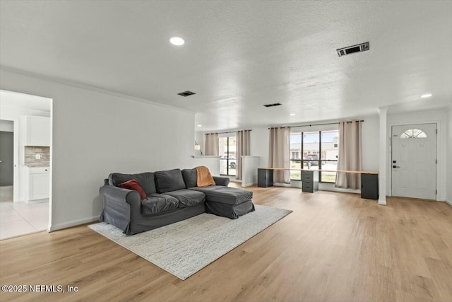 2204 Chablis Ct W, Orange Park, FL 32073 - living room with baseboards, visible vents, light wood-style flooring, and a textured ceiling