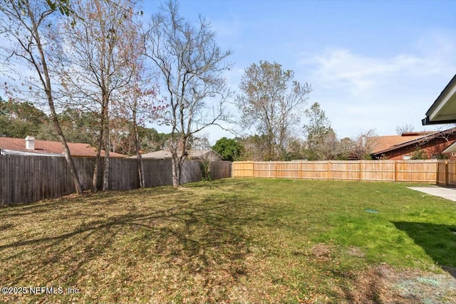 2204 Chablis Ct W, Orange Park, FL 32073 - view of yard with a fenced backyard