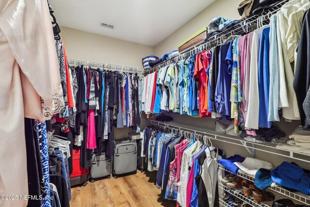 walk in closet with visible vents and wood finished floors