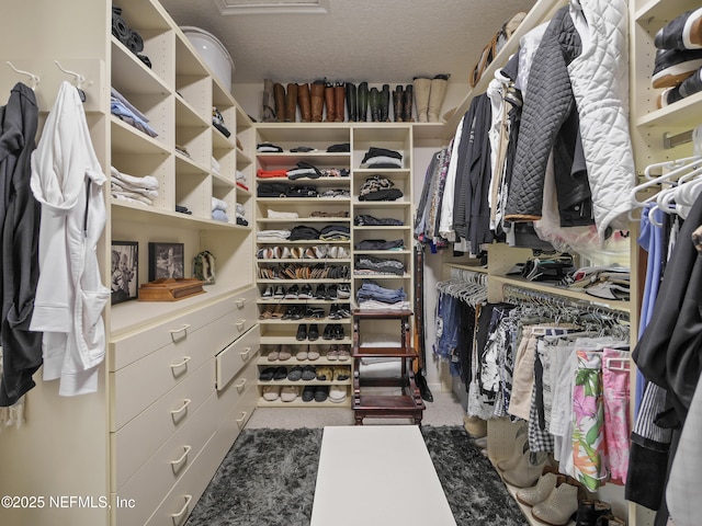 view of spacious closet