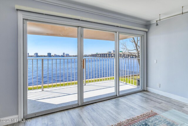 entryway featuring plenty of natural light, wood finished floors, a water view, and baseboards