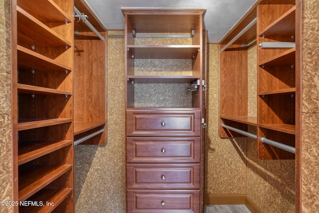 view of walk in closet