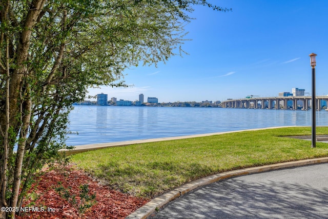 water view featuring a view of city