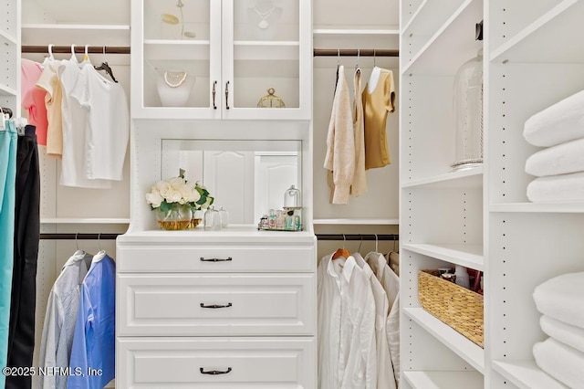 view of spacious closet