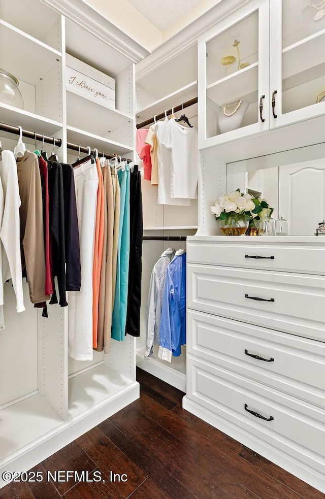 spacious closet with dark wood finished floors