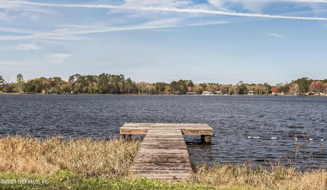 dock area with a water view