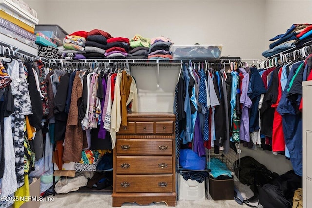 spacious closet with carpet floors