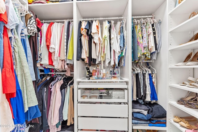 view of spacious closet