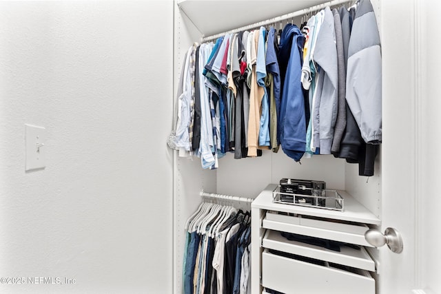 view of spacious closet