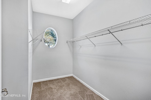 spacious closet featuring carpet floors and vaulted ceiling