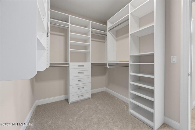 walk in closet with light carpet