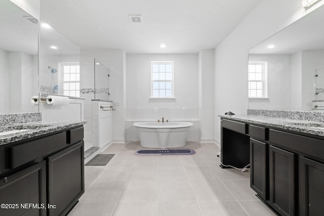 bathroom with a wealth of natural light, a sink, and walk in shower