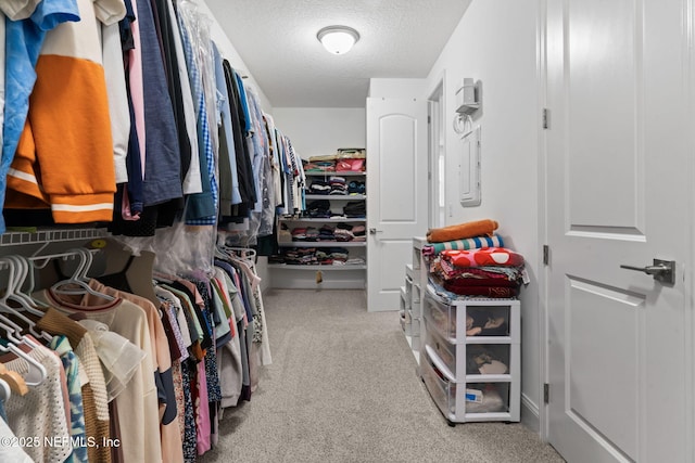 walk in closet featuring carpet