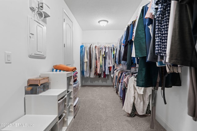 spacious closet with electric panel and light colored carpet