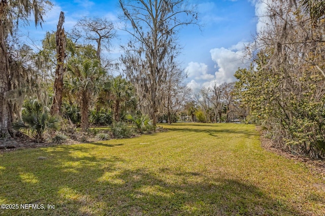 1900 Lake Shore Blvd, Jacksonville, FL 32210 - photo 35