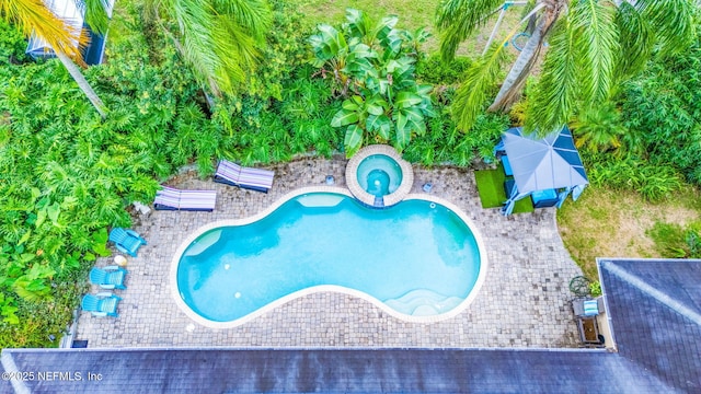 view of swimming pool