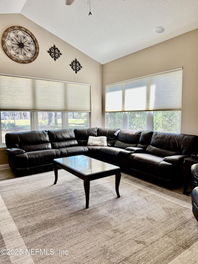 living area with vaulted ceiling and a textured ceiling