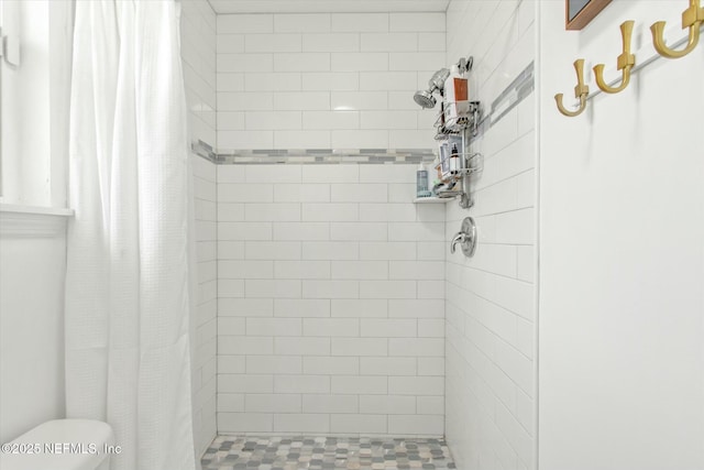 full bath featuring a stall shower and toilet