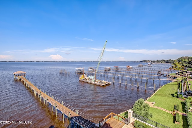 dock area with a water view