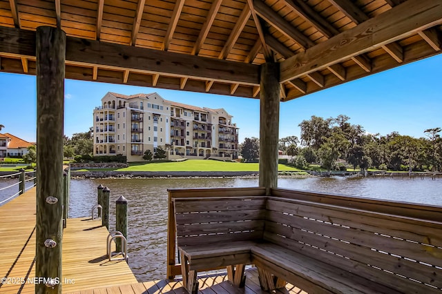 dock area with a water view