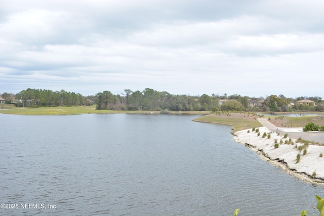 view of water feature