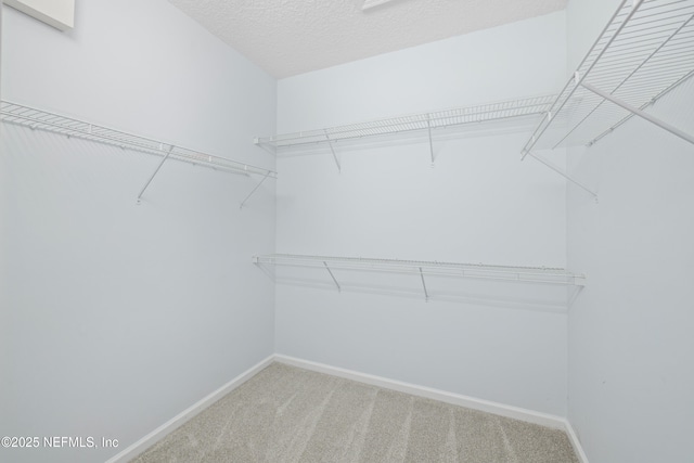 5911 Brush Hollow Rd, Jacksonville, FL 32258 - photo 29