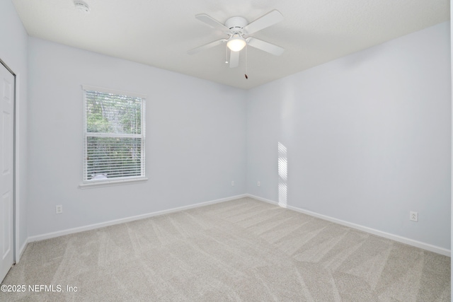 5911 Brush Hollow Rd, Jacksonville, FL 32258 - photo 37