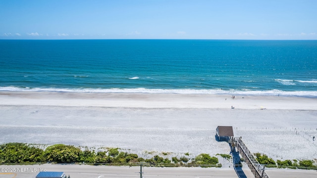 110 Ocean Hollow Ln Unit 116, Saint Augustine, FL 32084 - view of water feature featuring a beach view